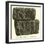 Bas-Relief Trouve a L'Hotel-Dieu, 1867-null-Framed Giclee Print