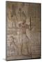 Bas-Reliefs Inside the Temple of Opet, Karnak Temple, Luxor, Thebes, Egypt, North Africa, Africa-Richard Maschmeyer-Mounted Photographic Print