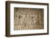 Bas-Reliefs Inside the Temple of Opet, Karnak Temple, Luxor, Thebes, Egypt, North Africa, Africa-Richard Maschmeyer-Framed Photographic Print