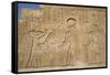 Bas-Reliefs on Walls, Temple of Haroeris and Sobek, Kom Ombo, Egypt, North Africa, Africa-Richard Maschmeyer-Framed Stretched Canvas