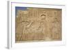 Bas-Reliefs on Walls, Temple of Haroeris and Sobek, Kom Ombo, Egypt, North Africa, Africa-Richard Maschmeyer-Framed Photographic Print