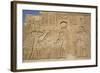 Bas-Reliefs on Walls, Temple of Haroeris and Sobek, Kom Ombo, Egypt, North Africa, Africa-Richard Maschmeyer-Framed Photographic Print