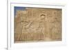 Bas-Reliefs on Walls, Temple of Haroeris and Sobek, Kom Ombo, Egypt, North Africa, Africa-Richard Maschmeyer-Framed Photographic Print