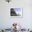 Basalt Cliffs and Rock Stack, Halsenifs Hellir Beach, Near Vik I Myrdal, South Iceland, Iceland-Lee Frost-Framed Photographic Print displayed on a wall