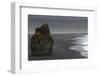 Basalt Column Rises from Black Sand Beach on Rainy Day, Vik, Iceland-Jaynes Gallery-Framed Photographic Print