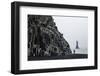 Basalt Columns at the Beach, Vik I Myrdal, Iceland, Polar Regions-Yadid Levy-Framed Photographic Print