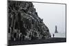 Basalt Columns at the Beach, Vik I Myrdal, Iceland, Polar Regions-Yadid Levy-Mounted Photographic Print