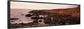 Basalt Columns of Giant's Causeway, Antrim Coast, Northern Ireland-null-Framed Photographic Print