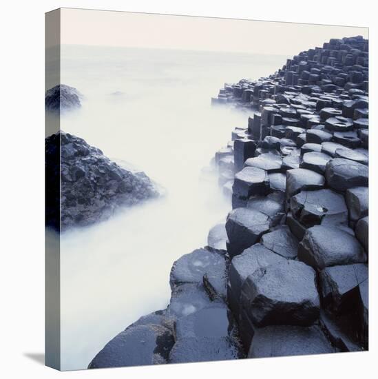 Basalt Columns on Coast-Micha Pawlitzki-Stretched Canvas