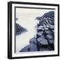 Basalt Columns on Coast-Micha Pawlitzki-Framed Premium Photographic Print