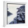 Basalt Columns on Coast-Micha Pawlitzki-Framed Premium Photographic Print