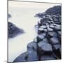 Basalt Columns on Coast-Micha Pawlitzki-Mounted Premium Photographic Print