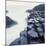 Basalt Columns on Coast-Micha Pawlitzki-Mounted Photographic Print