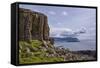 Basalt Columns, Rock Formation, Cliffs on Isle of Ulva-Gary Cook-Framed Stretched Canvas