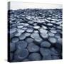 Basalt Columns-Micha Pawlitzki-Stretched Canvas