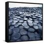 Basalt Columns-Micha Pawlitzki-Framed Stretched Canvas