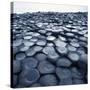 Basalt Columns-Micha Pawlitzki-Stretched Canvas