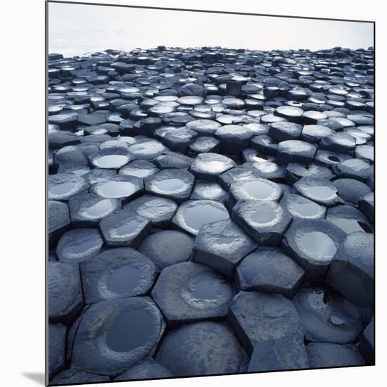 Basalt Columns-Micha Pawlitzki-Mounted Photographic Print