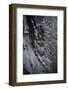 Basalt Colums, Reynisfjara, Reynisdrangar, Vik I Myrdal, South Iceland-Julia Wellner-Framed Photographic Print