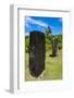 Basalt Monoliths known as Badrulchau, Island of Babeldoab, Palau, Central Pacific, Pacific-Michael Runkel-Framed Photographic Print