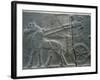 Basalt Relief Depicting the Royal Chariot, Artefact from Tiglatpileser III's Palace-null-Framed Giclee Print