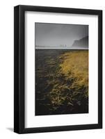 Basalt rock formations (sea stacks) and black sand beach in Vik, Iceland, Polar Regions-Jon Reaves-Framed Photographic Print