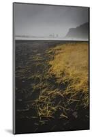 Basalt rock formations (sea stacks) and black sand beach in Vik, Iceland, Polar Regions-Jon Reaves-Mounted Photographic Print