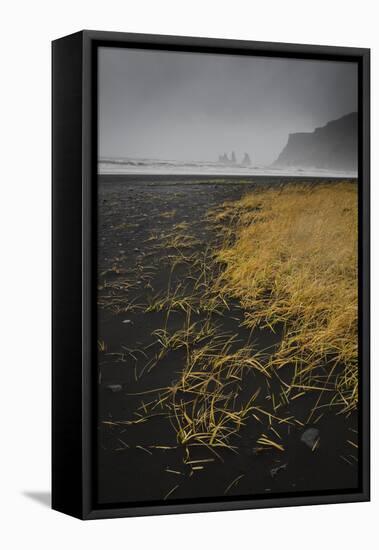 Basalt rock formations (sea stacks) and black sand beach in Vik, Iceland, Polar Regions-Jon Reaves-Framed Stretched Canvas