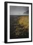 Basalt rock formations (sea stacks) and black sand beach in Vik, Iceland, Polar Regions-Jon Reaves-Framed Photographic Print