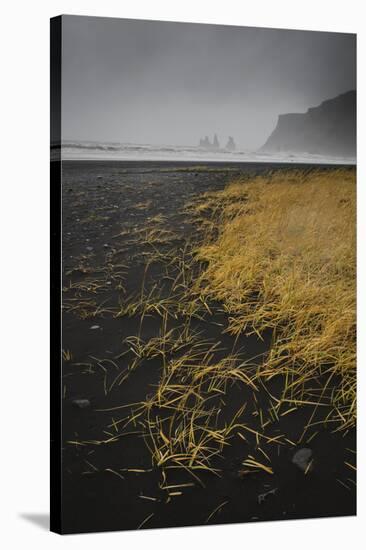 Basalt rock formations (sea stacks) and black sand beach in Vik, Iceland, Polar Regions-Jon Reaves-Stretched Canvas