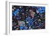 Basalt, Thin Section, Polarised LM-PASIEKA-Framed Photographic Print