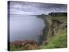 Basaltic Cliffs Dominating Raasay Sound, Trotternish, Isle of Skye, Inner Hebrides, Scotland-Patrick Dieudonne-Stretched Canvas