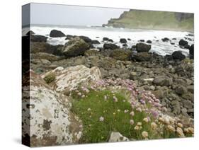 Basaltic Rock Formations, County Antrim, Northern Ireland-William Sutton-Stretched Canvas