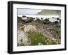 Basaltic Rock Formations, County Antrim, Northern Ireland-William Sutton-Framed Photographic Print