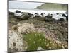 Basaltic Rock Formations, County Antrim, Northern Ireland-William Sutton-Mounted Photographic Print