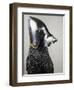 Bascinet with Pig Faced Snout-null-Framed Giclee Print