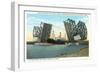 Bascule Bridge, San Pedro, California-null-Framed Art Print