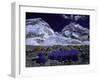 Base Camp at Lhotse, Southside of Everest, Nepal-Michael Brown-Framed Photographic Print