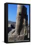 Base of Colossal Statue, Ruins of Great Temple of Amun, Tanis, Egypt-null-Framed Stretched Canvas