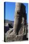 Base of Colossal Statue, Ruins of Great Temple of Amun, Tanis, Egypt-null-Stretched Canvas