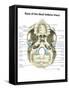 Base of Human Skull, Inferior View, with Labels-Stocktrek Images-Framed Stretched Canvas