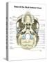 Base of Human Skull, Inferior View, with Labels-Stocktrek Images-Stretched Canvas