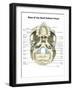 Base of Human Skull, Inferior View, with Labels-Stocktrek Images-Framed Art Print