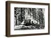 Base of the Grizzly Giant, C.1860s-Carleton Emmons Watkins-Framed Photographic Print