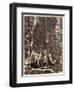 Base of the Grizzly Giant-Carleton Emmons Watkins-Framed Giclee Print