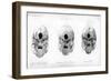 Base of the Skull, 1848-null-Framed Giclee Print