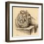 Base of the Skull and Second Views of the Orbit-null-Framed Art Print