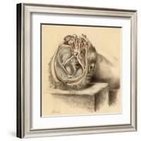 Base of the Skull and Second Views of the Orbit-null-Framed Art Print