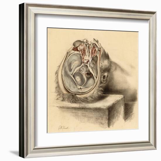 Base of the Skull and Second Views of the Orbit-null-Framed Art Print