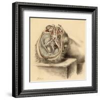 Base of the Skull and Second Views of the Orbit-null-Framed Art Print